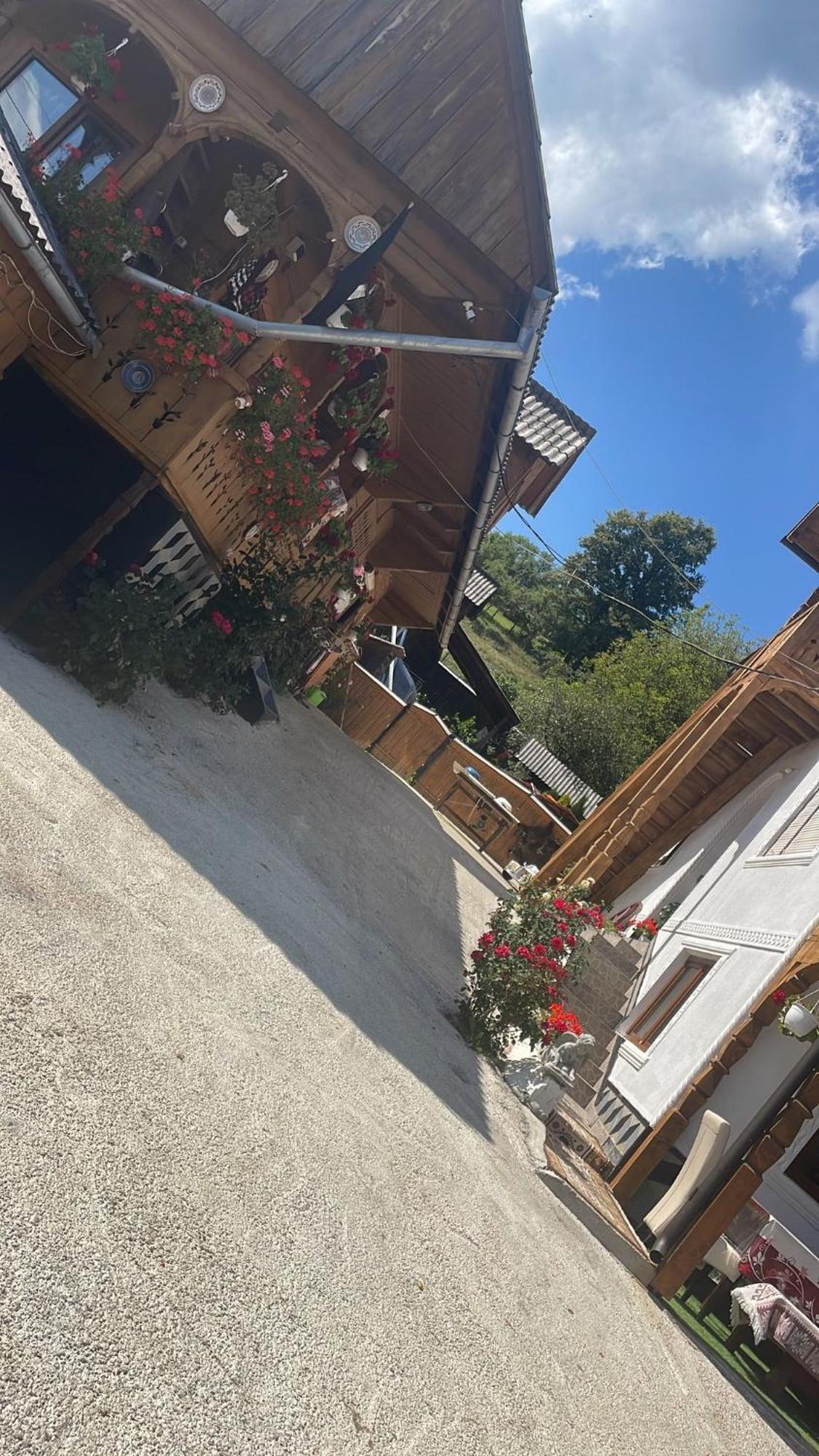Casa Ionela Petreus Hotell Poienile Izei Eksteriør bilde